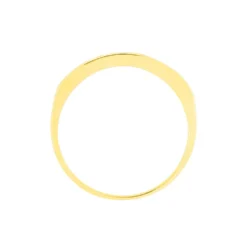 Alliance Davila Or Jaune Oxyde De Zirconium