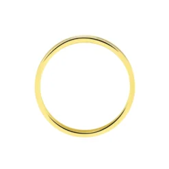 Alliance Effet Mat Ruban Plat Or Bicolore