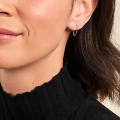 Bijoux D'oreilles Fantaisia Argent Blanc Oxyde De Zirconium