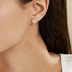 Boucles D'oreilles Puces Lorraine Argent Rose Oxyde De Zirconium