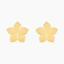 Boucles D'oreilles Puces Maora Acier Jaune
