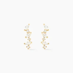 Boucles D'oreilles Puces Or Jaune Fortunella Oxydes De Zirconium