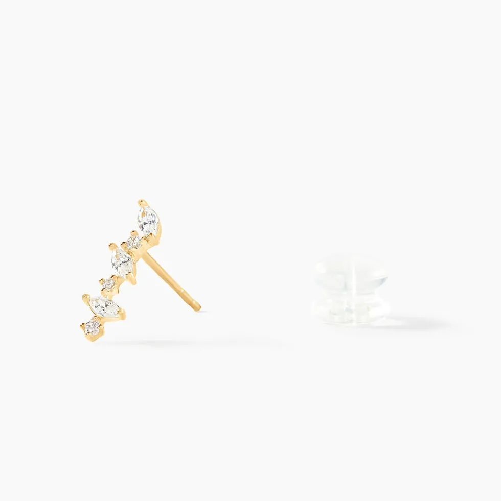 Boucles D'oreilles Puces Or Jaune Fortunella Oxydes De Zirconium
