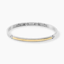 Bracelet Phebus Him Acier Bicolore