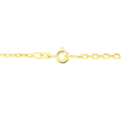 Chaîne Igoa Maille Forçat Diamantee Or Jaune