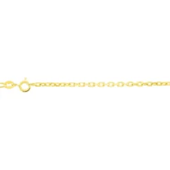 Chaîne Igoa Maille Forçat Diamantee Or Jaune