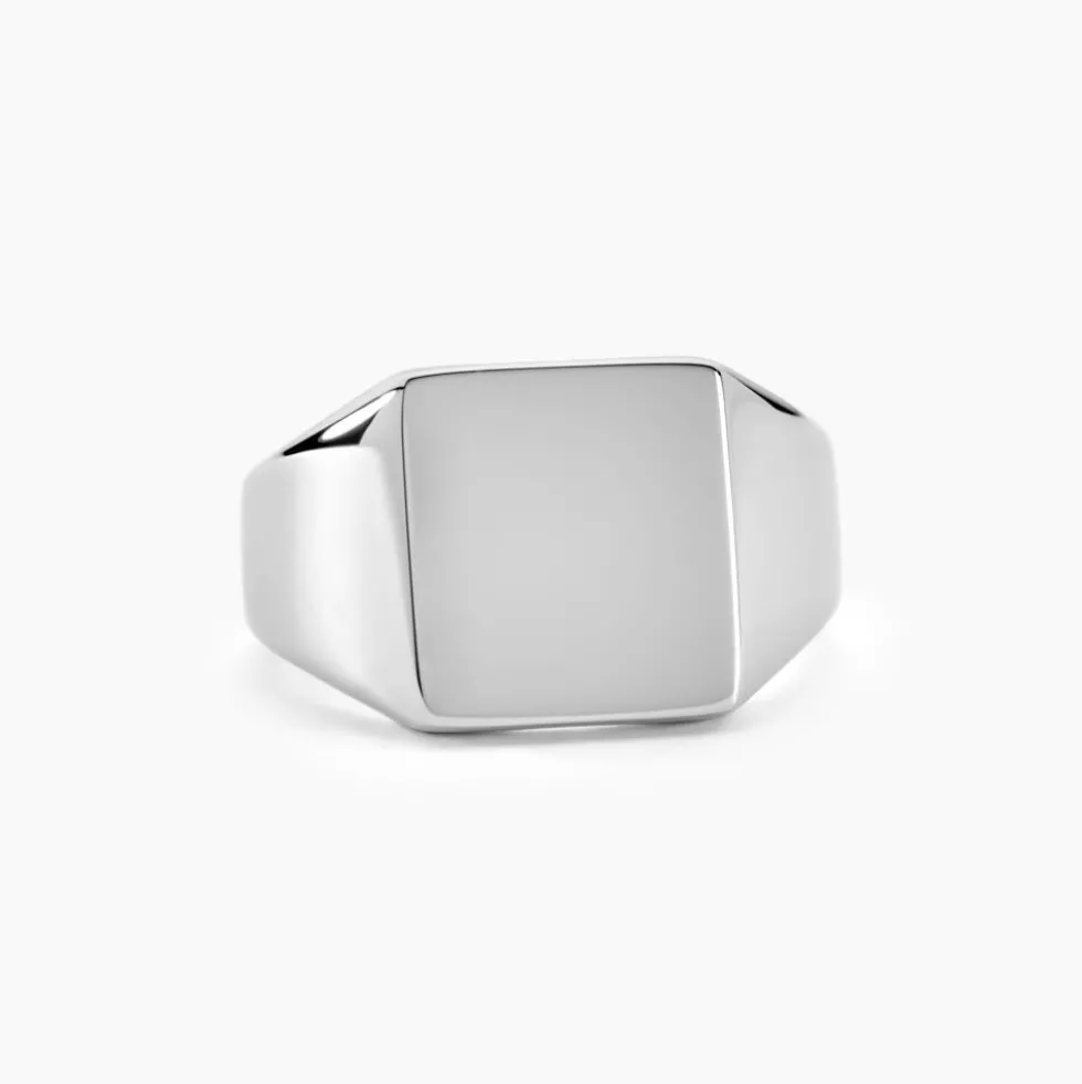 Chevaliere Acier Blanc Winebald