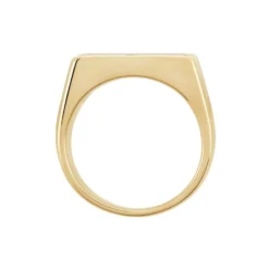Chevalière Plaqué Hadrien Onyx