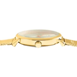 Coffret De Montre Codhor Amele Doré