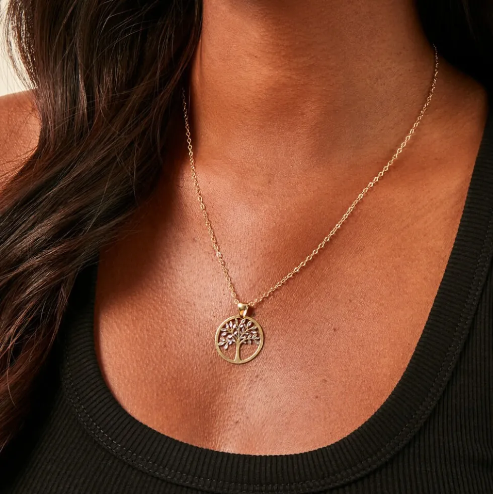 Collier Aragorn Or Bicolore