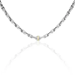 Collier Leandreae Or Acier Bicolore