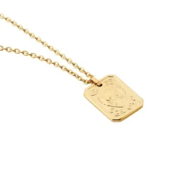 Collier Phebus Him Acier