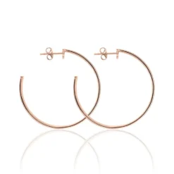 Créoles Airelle Acier Rose
