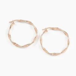 Créoles Argent Rose Alieno