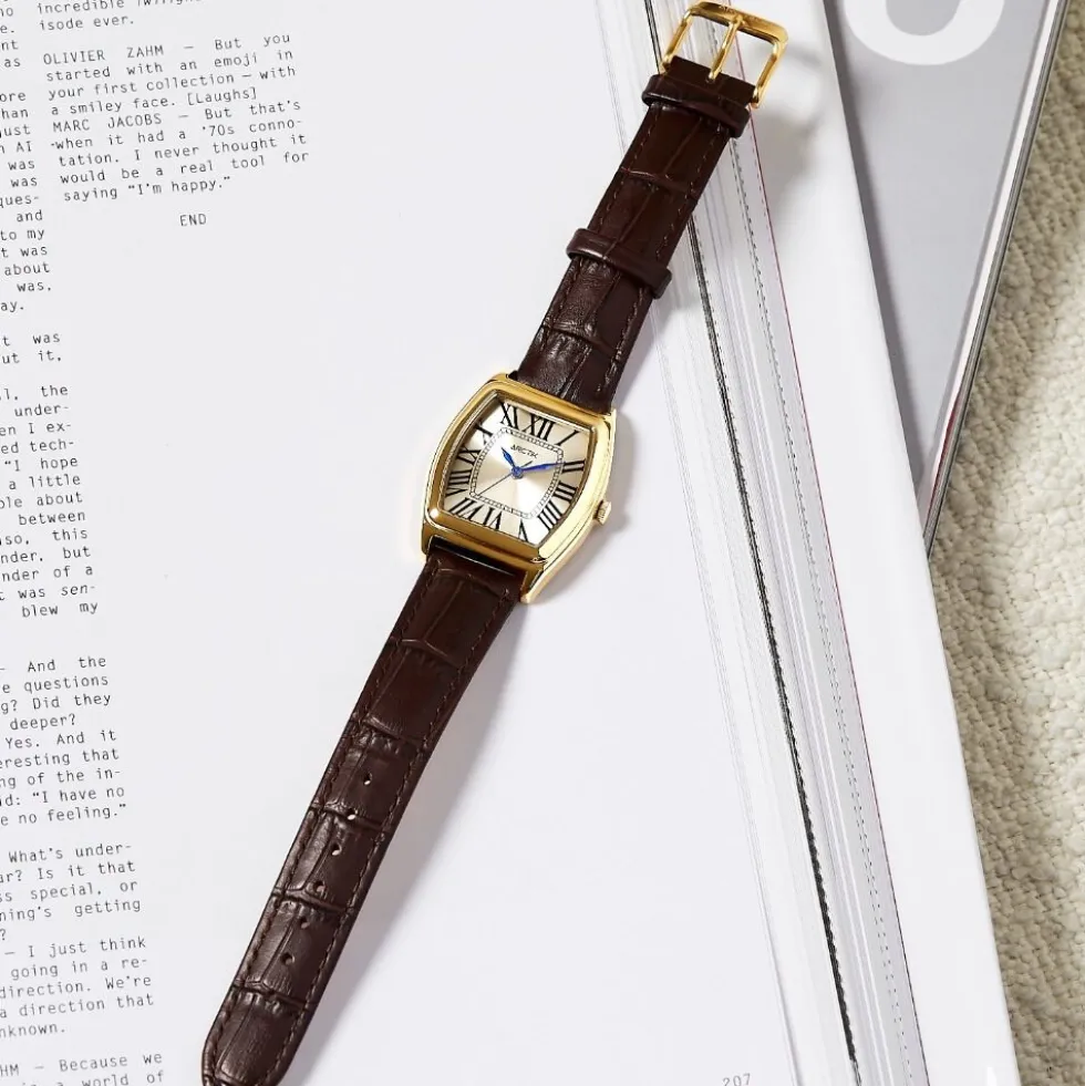 Montre Arctik Globe Argenté