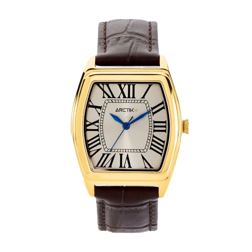 Montre Arctik Globe Argenté