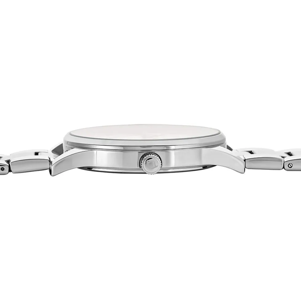 Montre Arctik Horizon Argenté