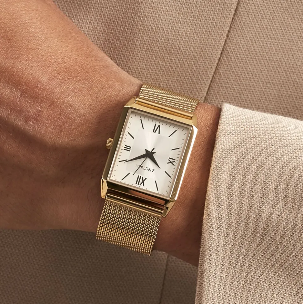 Montre Arctik Quark Argente