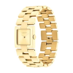Montre Calvin Klein Ck Meridian Champagne