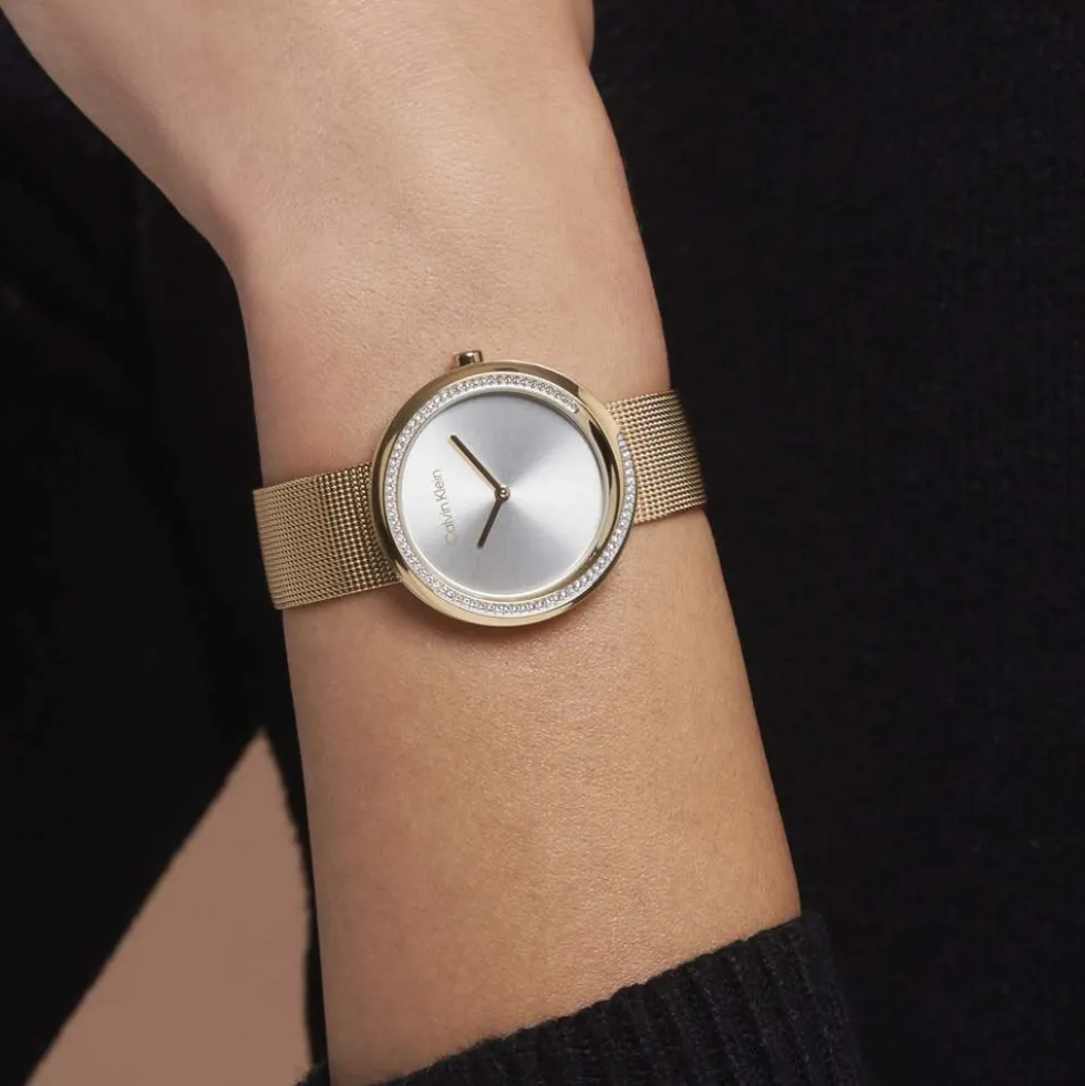 Montre Calvin Klein Twist Argenté