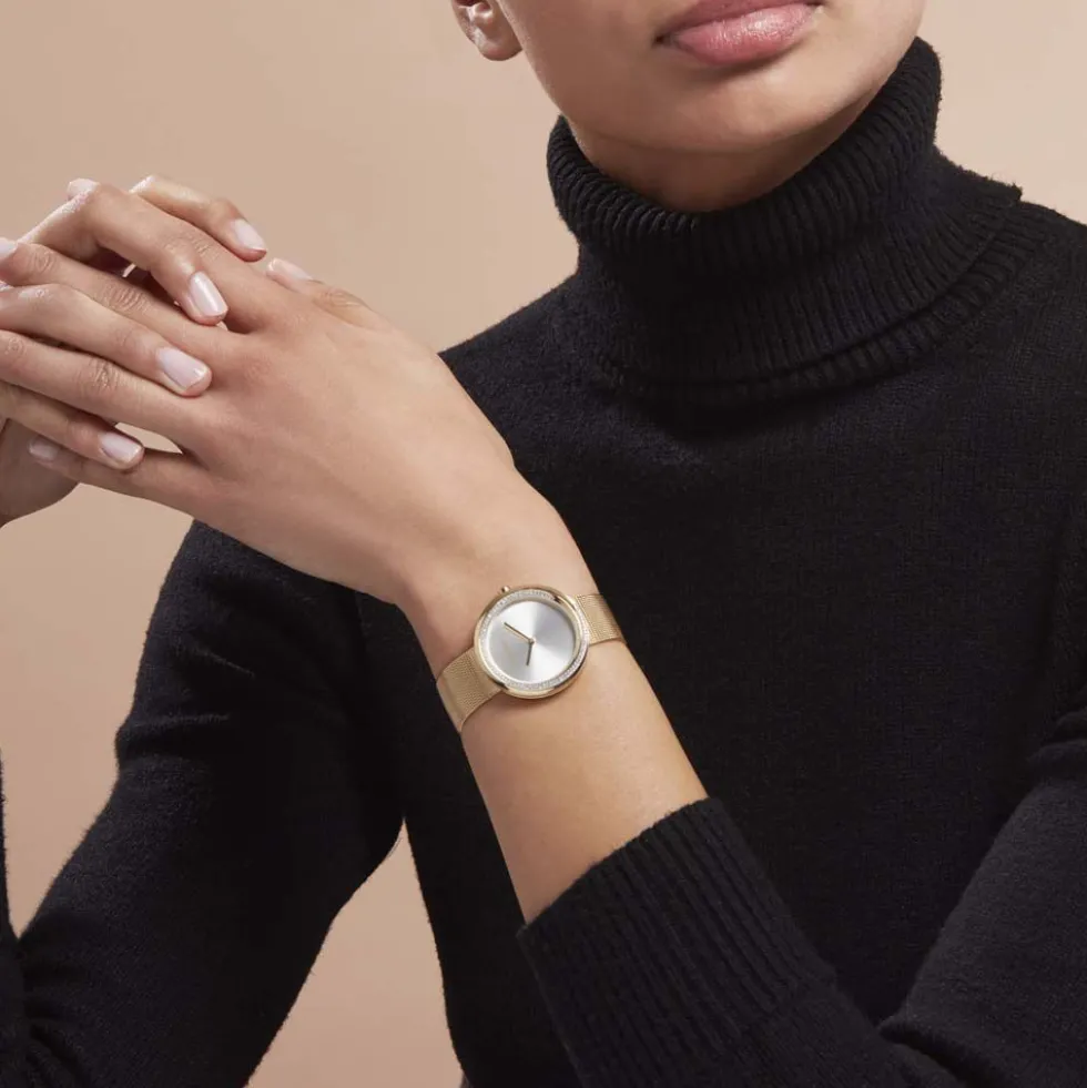Montre Calvin Klein Twist Argenté