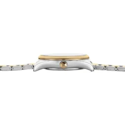 Montre Cluse Feroce Mini Argenté