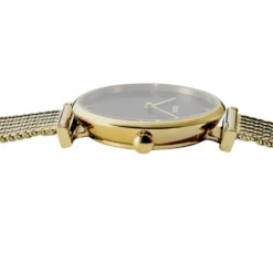 Montre Cluse Triomphe Noir