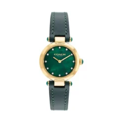 Montre Coach Cary Vert