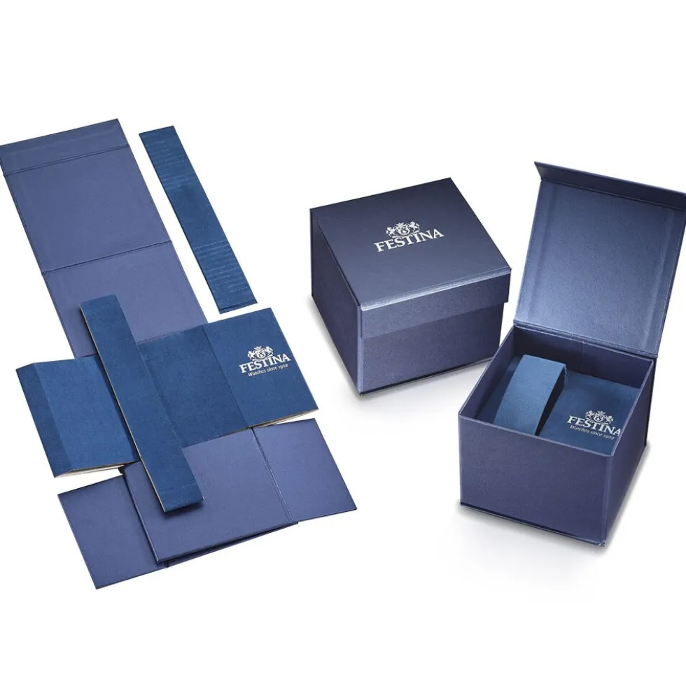 Montre Festina Classics Argenté