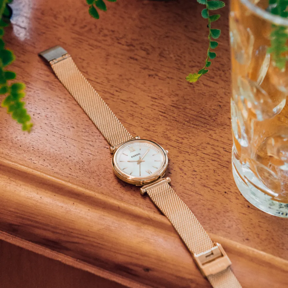 Montre Fossil Carlie Mini Nacre