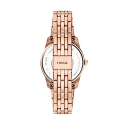 Montre Fossil Scarlette Gris