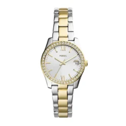 Montre Fossil Scarlette Mini Argenté