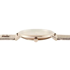 Montre Tommy Hilfiger Tea Champagne