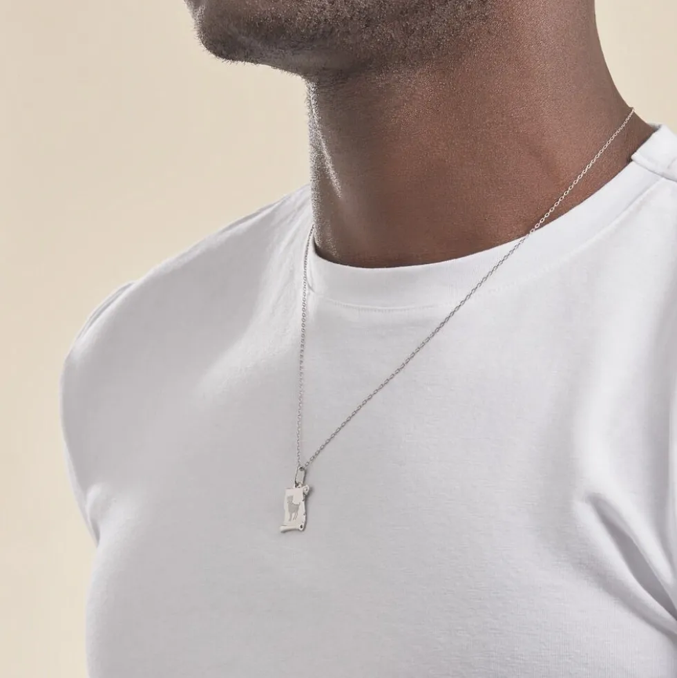 Pendentif Zodiaque Parchemin Argent Blanc