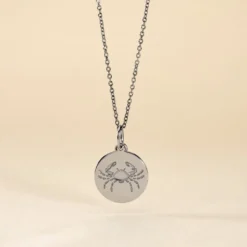 Pendentif Zodiaque Rond Argent Blanc